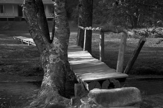 Bridge