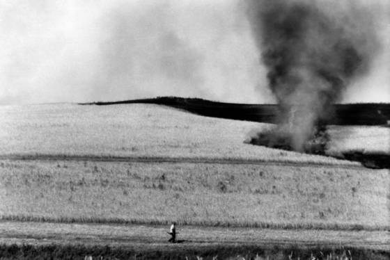 Prairie_fire