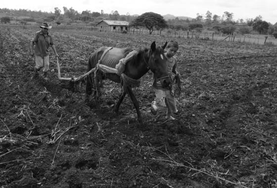 Plowing