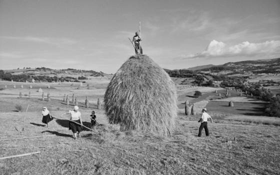 Hayharvest_in_the_m_ramaros_region