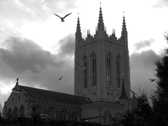 Cathedral_birds