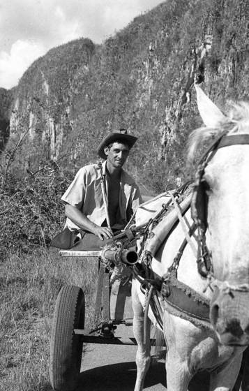 Horse_cart_driver