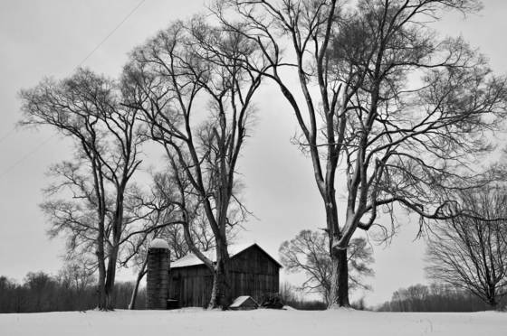 Winter_barn