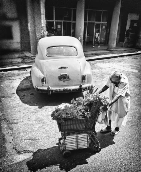 Flowers_for_sale