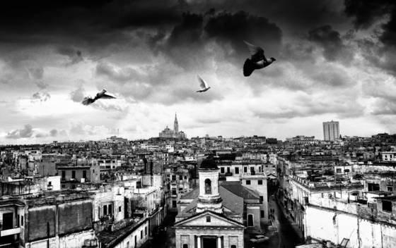 Roof_top