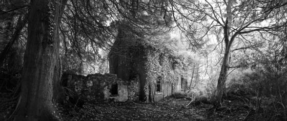 Abandoned_cottage