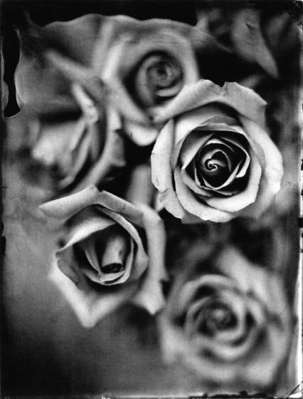 Flowers__1