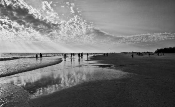 On_the_beach
