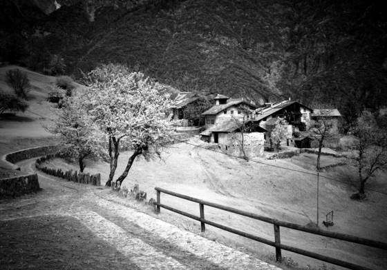 Ir_n
