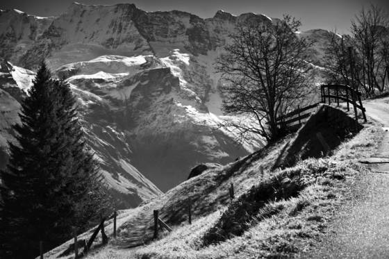 Country_road__4