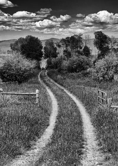 Country_road__7