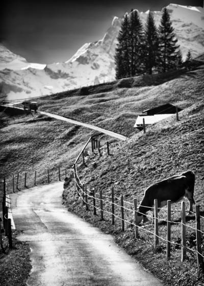 Country_road__9