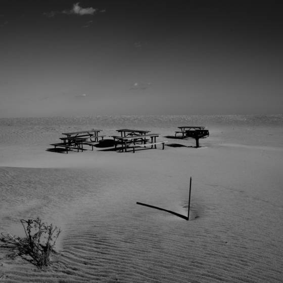 Post_apocalyptic_picnic_2