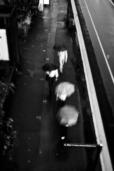 Umbrellas