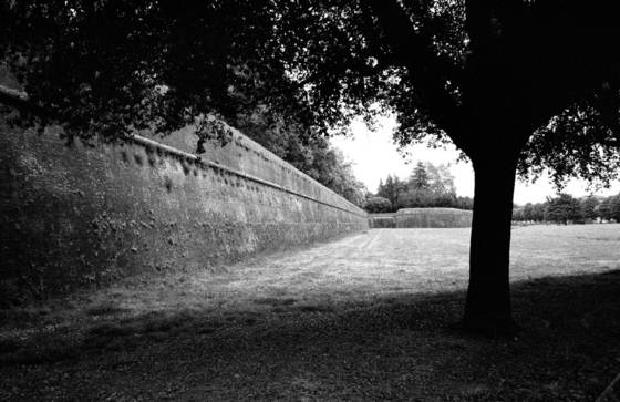 Lucca