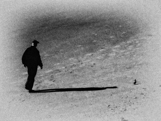 Shadow_play_5