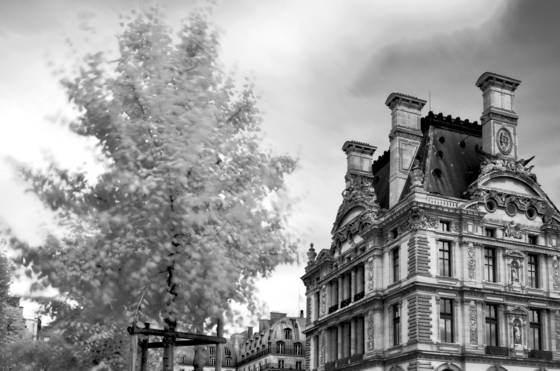 Louvre
