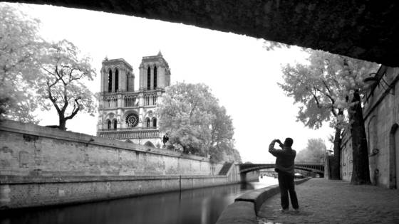 The_tourist
