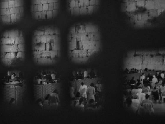 Web_of_sorrows