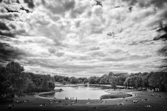 Beaver_lake