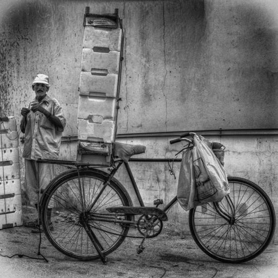 Workhorse