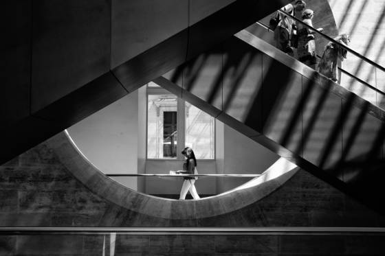 Homo_urbanicus_2