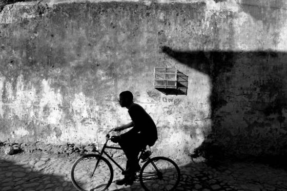 Boy_and_bird