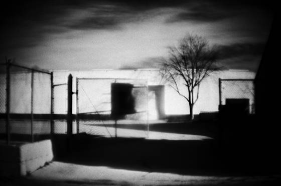Life_among_the_concrete