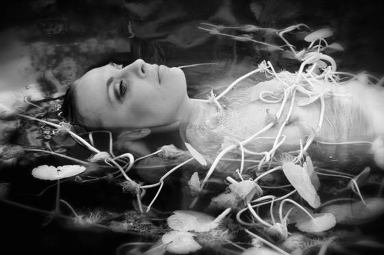 Water_of_dreams