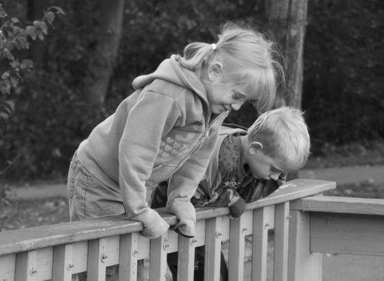 Curiosity