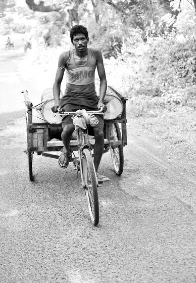 Pedaling_logs_to_market