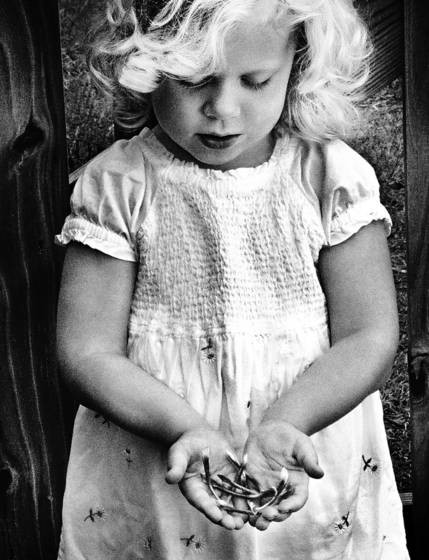 Handful_of_wishes