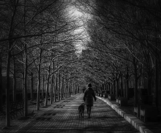 The_stroll