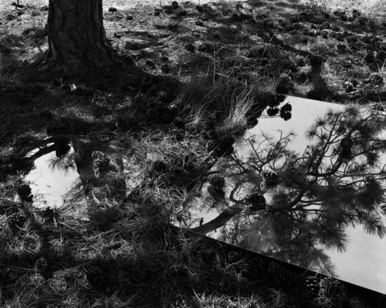 6_untitled