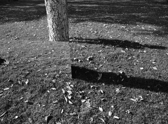 8_untitled