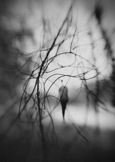 Just_out_of_reach