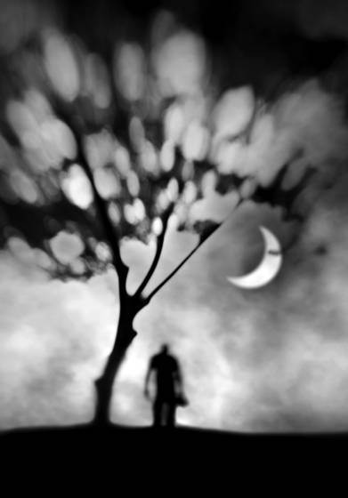 Silent_rhapsody