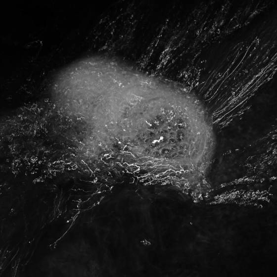 Water_signature__130