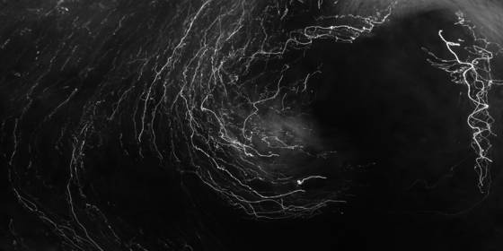 Water_signature__143
