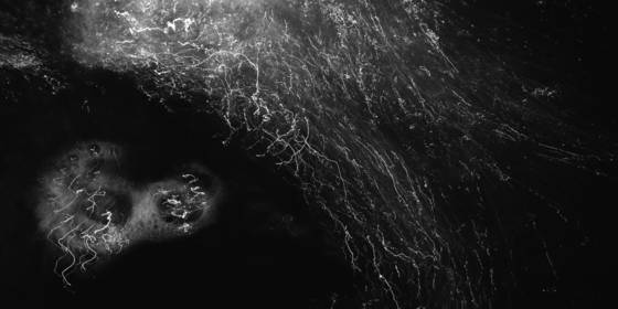 Water_signature__145