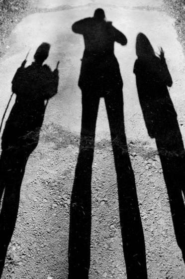 Shadows