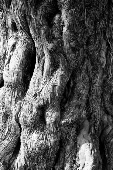 Untitled_1