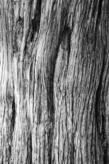 Untitled_4