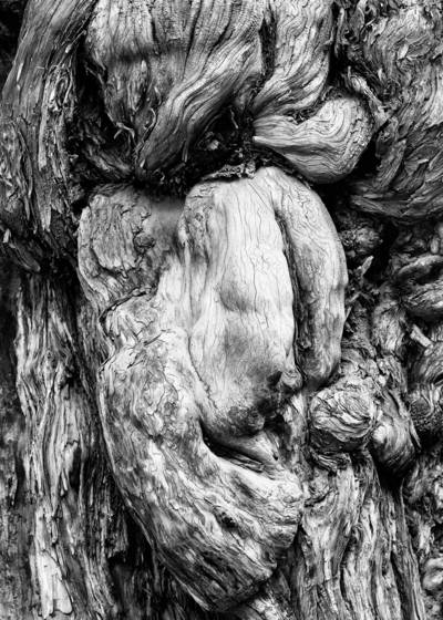 Untitled_5
