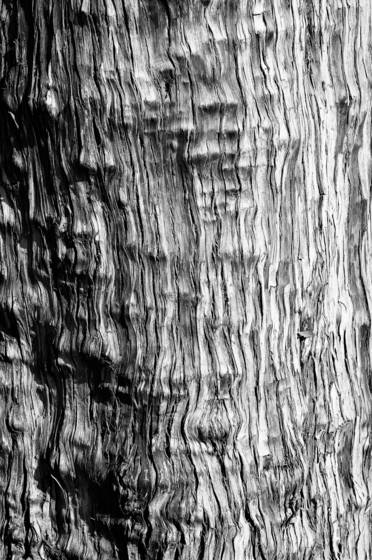 Untitled_6
