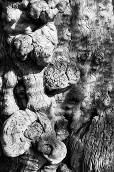 Untitled_7