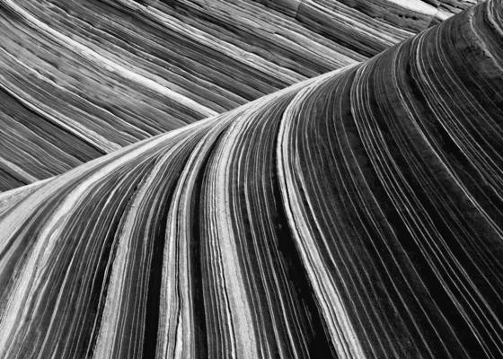 The_wave_1