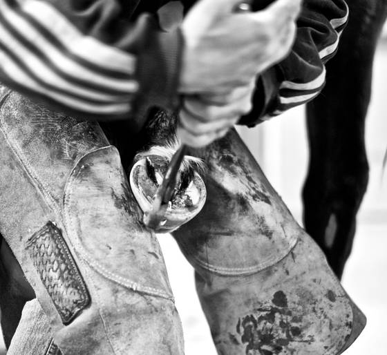 Farrier_3