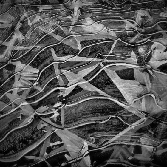Ice_in_ditch_1