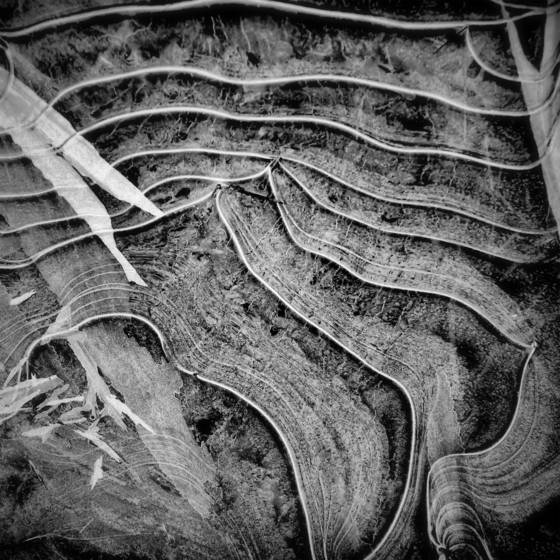 Ice_in_ditch_3